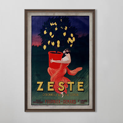 French Citrus Poster, Zeste Citronelle Advertisement, Vintage Kitchen Decor, 20th Century