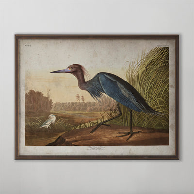 Vintage Blue Crane Audubon Print, Antique Bird Wall Art