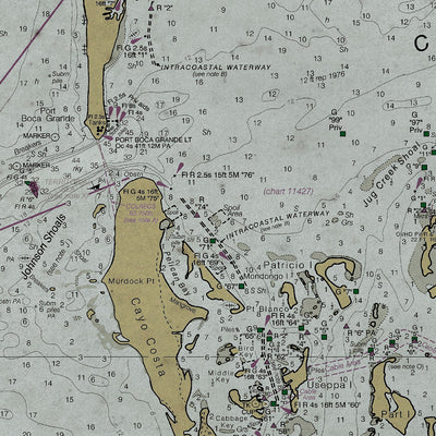 Old Lemon Bay, Florida nautical chart vintage wall art. Shop Archive Print Co.